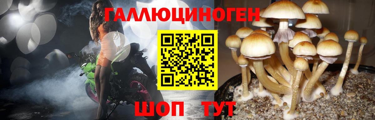 Протвино  Галлюциногенные грибы мухоморы  Вход с VPN 
